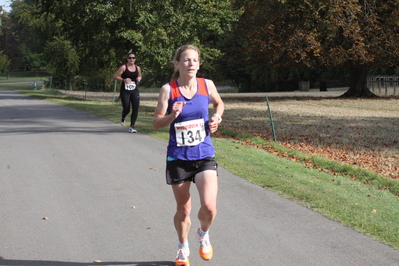 thumbnail for the story about the 2014 Woodstock 12 thumbnail for the story about the 2014 Woodstock 12