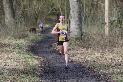 thumbnail for the story about the 2017 Oxfordshire XC Round 5 - Farmoor